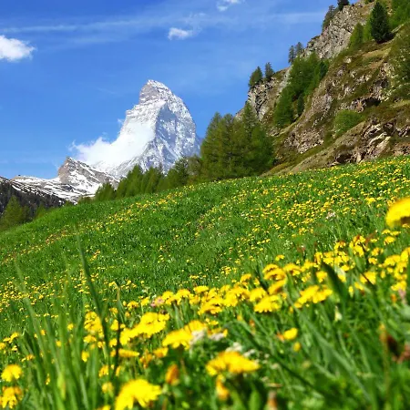 Luchre Zermatt